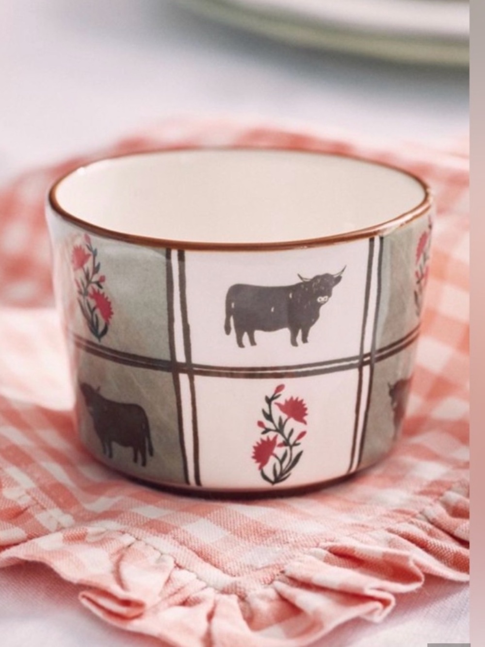 Anthropologie Millie Cow Berry
Basket NWT